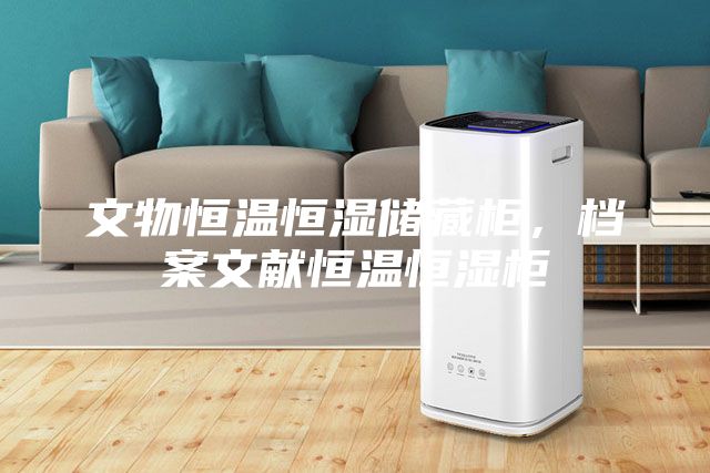 文物恒溫恒濕儲藏柜，檔案文獻恒溫恒濕柜