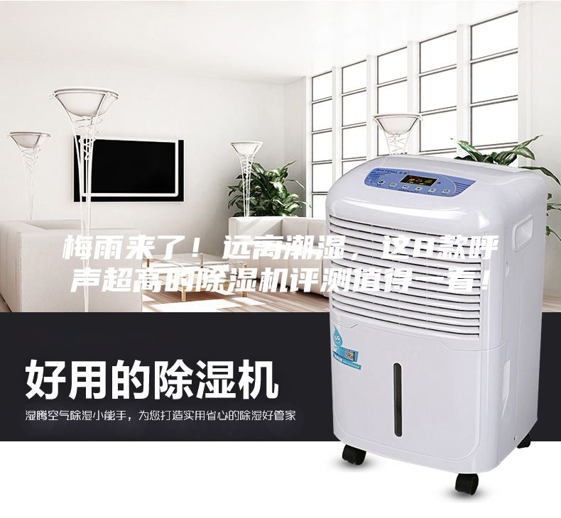 梅雨來了！遠離潮濕，這8款呼聲超高的除濕機評測值得一看！