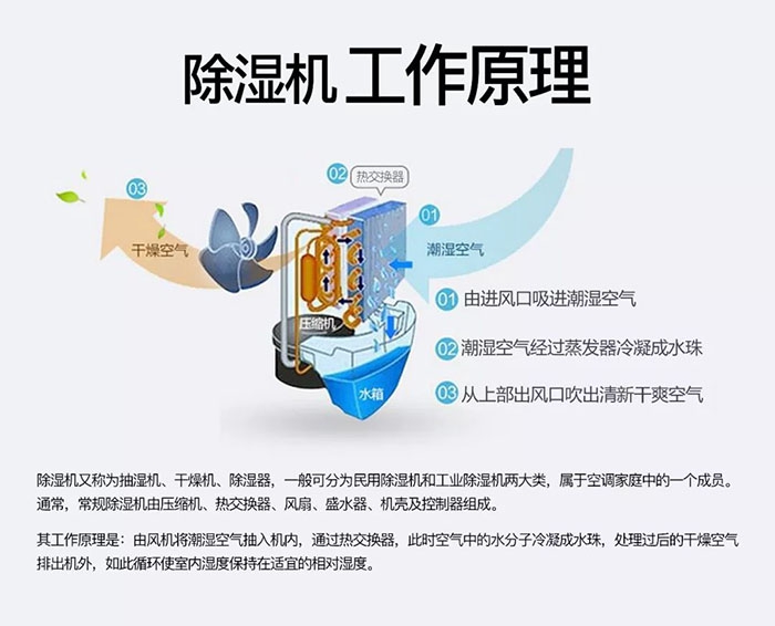 米粉烘干除濕一體機，米粉烘干沒難題。