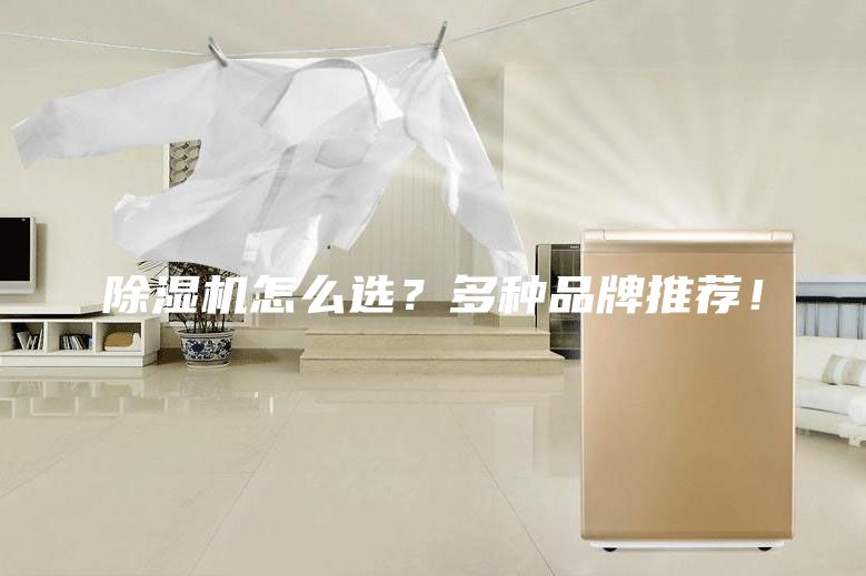 除濕機怎么選？多種品牌推薦！