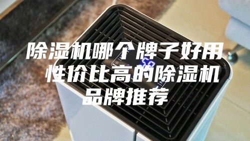 除濕機(jī)哪個牌子好用 性價比高的除濕機(jī)品牌推薦