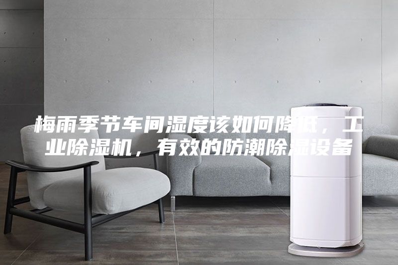 梅雨季節(jié)車間濕度該如何降低，工業(yè)除濕機(jī)，有效的防潮除濕設(shè)備