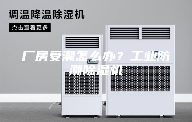 廠房受潮怎么辦？工業(yè)防潮除濕機
