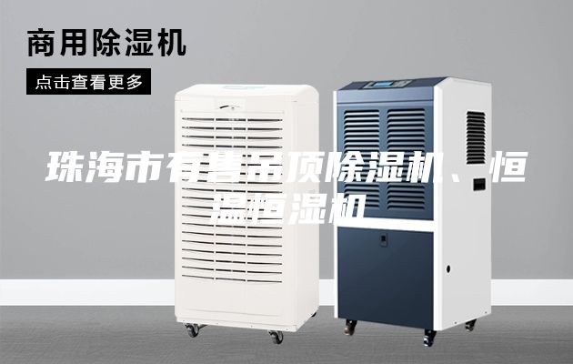 珠海市有售吊頂除濕機、恒溫恒濕機