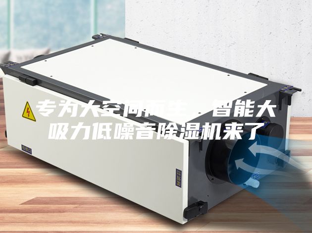 專為大空間而生，智能大吸力低噪音除濕機來了