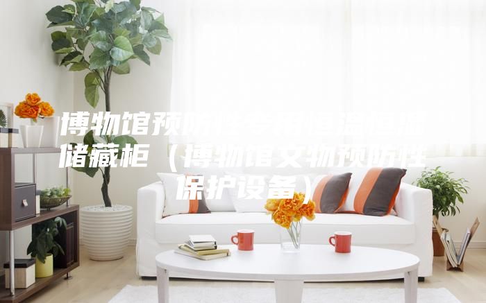 博物館預(yù)防性專用恒溫恒濕儲藏柜（博物館文物預(yù)防性保護設(shè)備）
