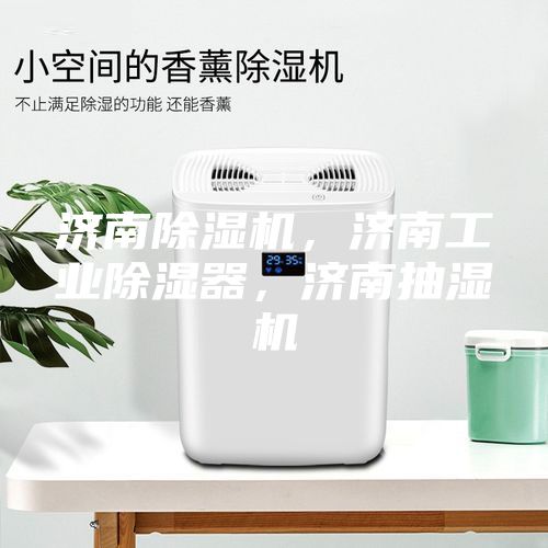 濟南除濕機，濟南工業(yè)除濕器，濟南抽濕機