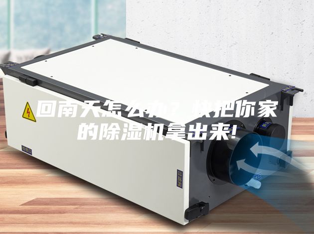 回南天怎么辦？快把你家的除濕機拿出來!