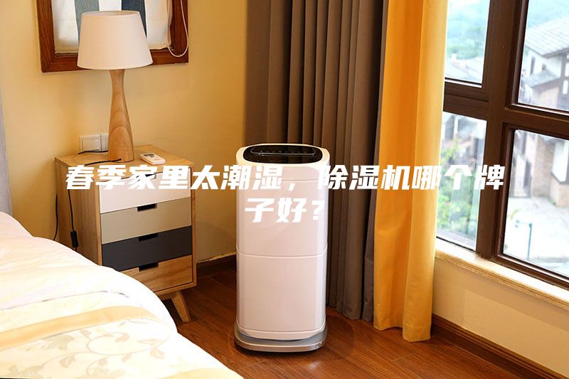 春季家里太潮濕，除濕機(jī)哪個(gè)牌子好？