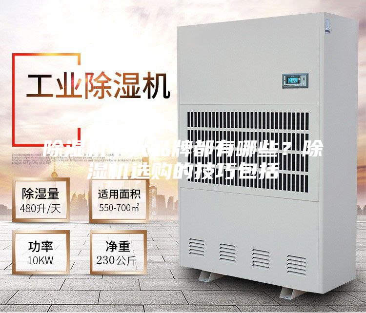 除濕機十大品牌都有哪些？除濕機選購的技巧包括