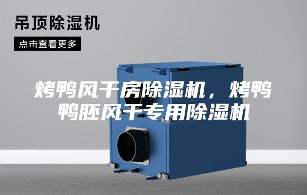烤鴨風(fēng)干房除濕機(jī)，烤鴨鴨胚風(fēng)干專用除濕機(jī)