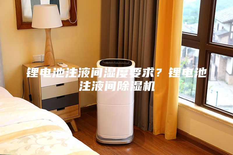 鋰電池注液間濕度要求？鋰電池注液間除濕機(jī)