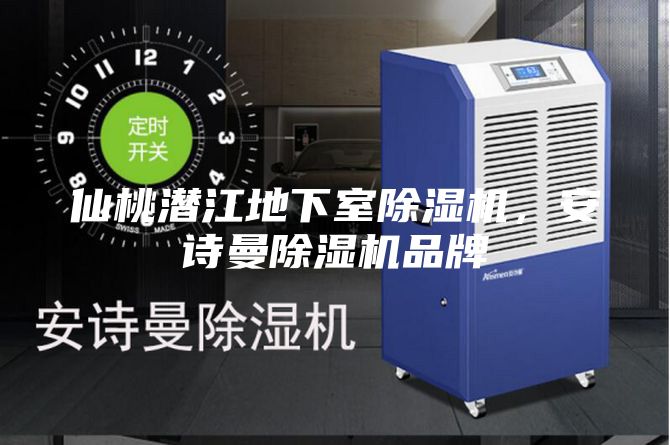 仙桃潛江地下室除濕機，安詩曼除濕機品牌