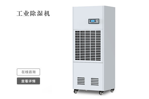 四季都潮濕，一臺(tái)除濕機(jī)就可以解決