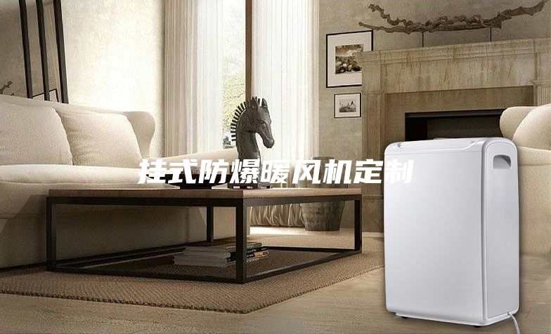 掛式防爆暖風(fēng)機定制