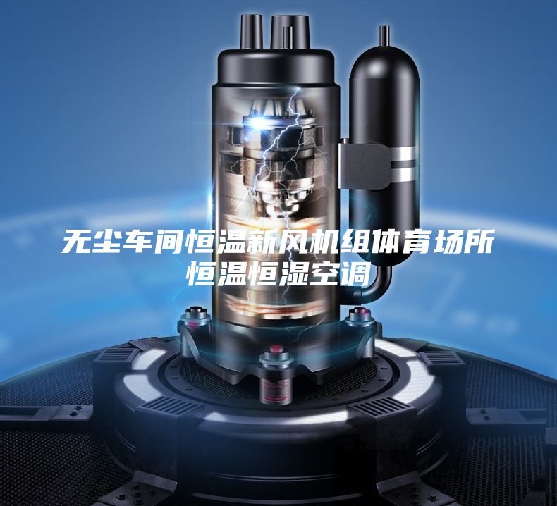 無(wú)塵車(chē)間恒溫新風(fēng)機(jī)組體育場(chǎng)所恒溫恒濕空調(diào)
