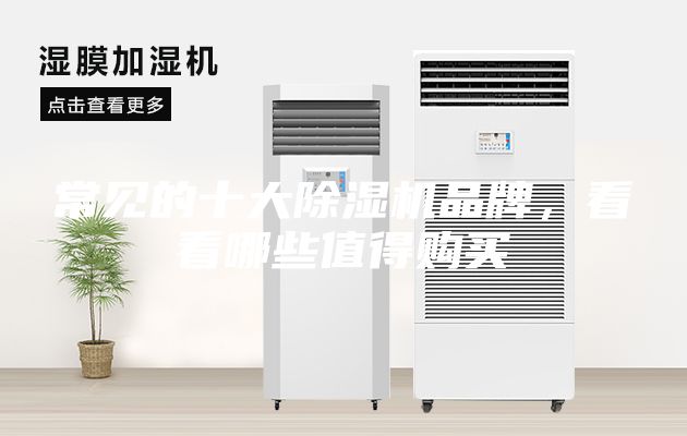 常見的十大除濕機(jī)品牌，看看哪些值得購買