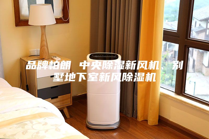 品牌柏朗 中央除濕新風(fēng)機(jī)、別墅地下室新風(fēng)除濕機(jī)