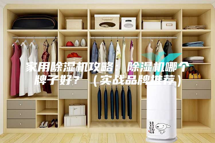 家用除濕機攻略：除濕機哪個牌子好？（實戰(zhàn)品牌推薦）