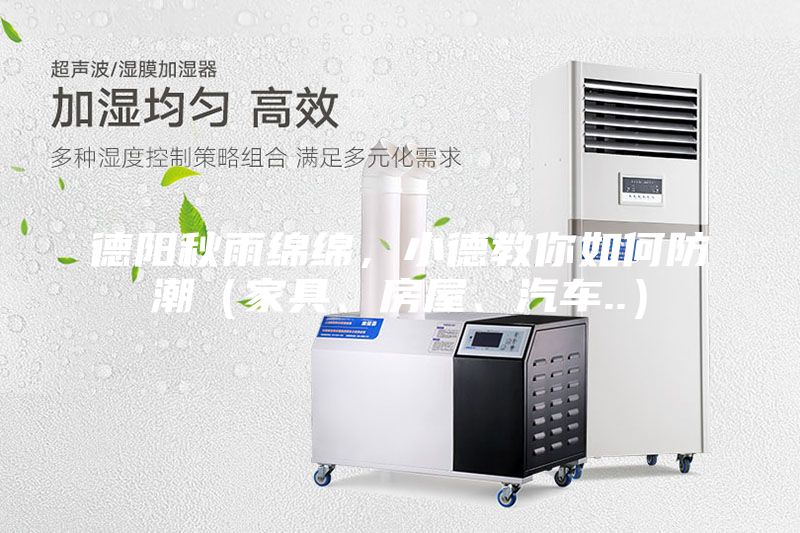 德陽秋雨綿綿，小德教你如何防潮（家具、房屋、汽車..）