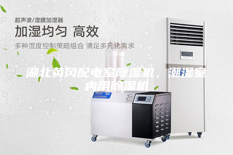 湖北黃岡配電室除濕機，潮濕室內(nèi)用除濕機