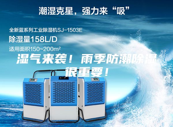 濕氣來襲！雨季防潮除濕很重要！