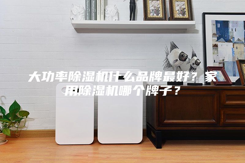 大功率除濕機(jī)什么品牌最好？家用除濕機(jī)哪個(gè)牌子？