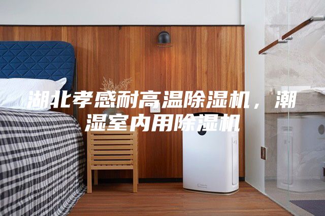 湖北孝感耐高溫除濕機(jī)，潮濕室內(nèi)用除濕機(jī)