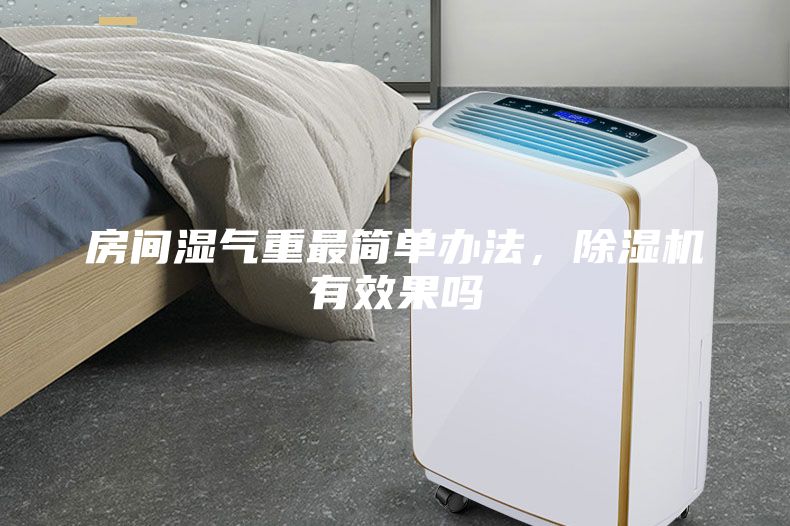 房間濕氣重最簡單辦法，除濕機有效果嗎