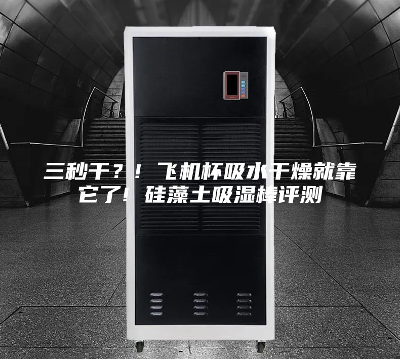 三秒干？! 飛機杯吸水干燥就靠它了! 硅藻土吸濕棒評測