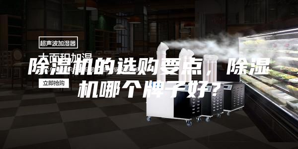 除濕機(jī)的選購要點(diǎn)，除濕機(jī)哪個(gè)牌子好？