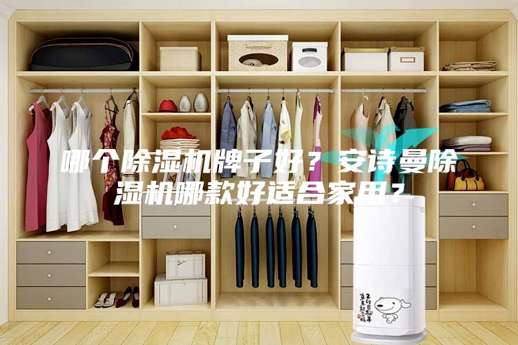 哪個除濕機(jī)牌子好？安詩曼除濕機(jī)哪款好適合家用？