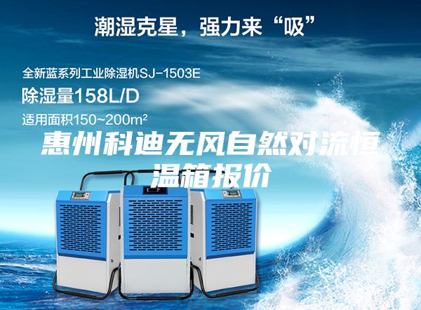 惠州科迪無風(fēng)自然對流恒溫箱報價