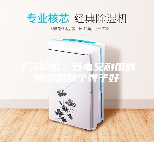 千元價(jià)位，省電又耐用的除濕機(jī)哪個(gè)牌子好