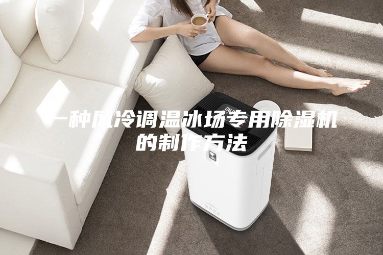 一種風(fēng)冷調(diào)溫冰場專用除濕機的制作方法