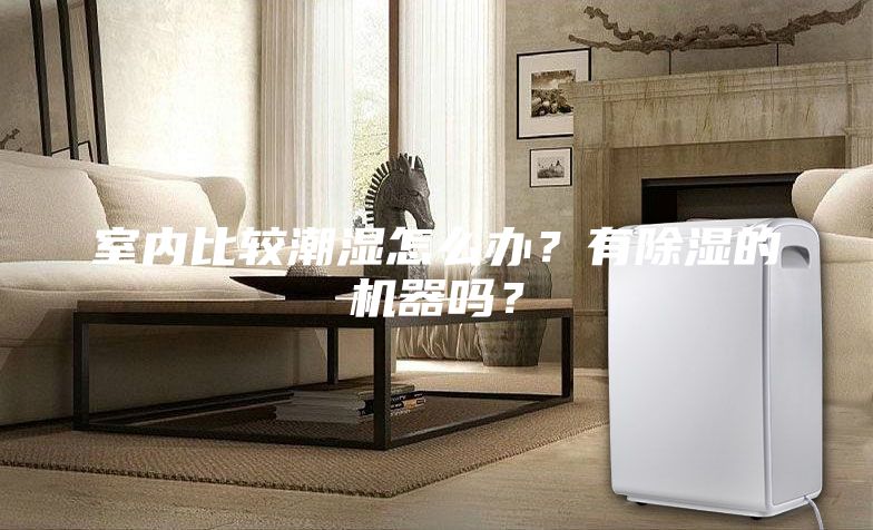 室內(nèi)比較潮濕怎么辦？有除濕的機器嗎？
