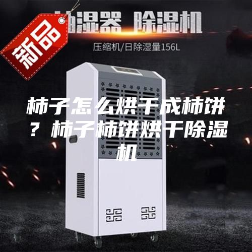 柿子怎么烘干成柿餅？柿子柿餅烘干除濕機