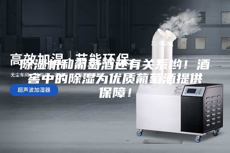 除濕機和葡萄酒還有關系喲！酒窖中的除濕為優(yōu)質(zhì)葡萄酒提供保障！
