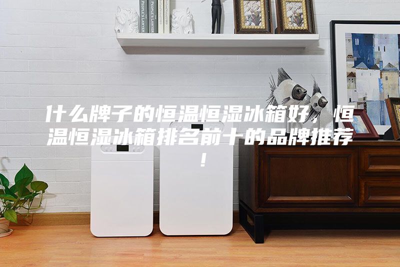 什么牌子的恒溫恒濕冰箱好，恒溫恒濕冰箱排名前十的品牌推薦！