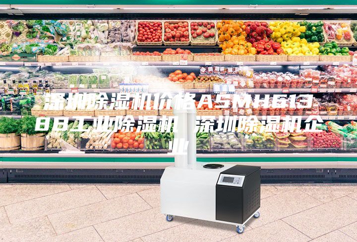 深圳除濕機(jī)價格ASMH6138B工業(yè)除濕機(jī) 深圳除濕機(jī)企業(yè)