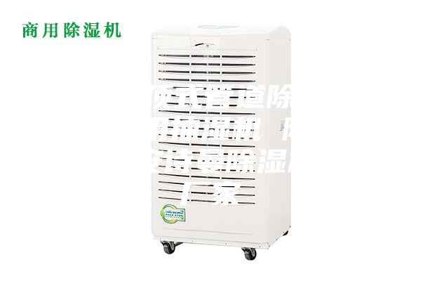 武漢吊頂式管道除濕機(jī)，游泳館用抽濕機(jī) 除濕防潮設(shè)備安詩曼除濕機(jī)生產(chǎn)廠家