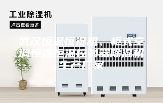 武漢恒溫恒濕機(jī)、柜式空調(diào)恒溫恒溫控制器除濕機(jī)生產(chǎn)廠家