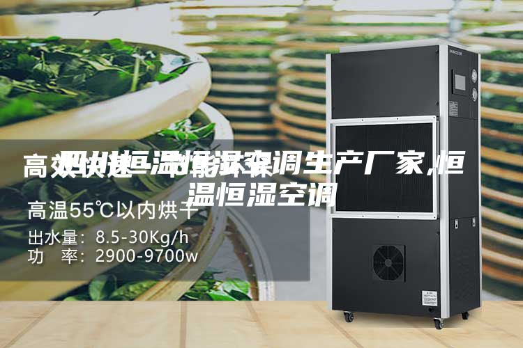 四川恒溫恒濕空調生產(chǎn)廠家,恒溫恒濕空調