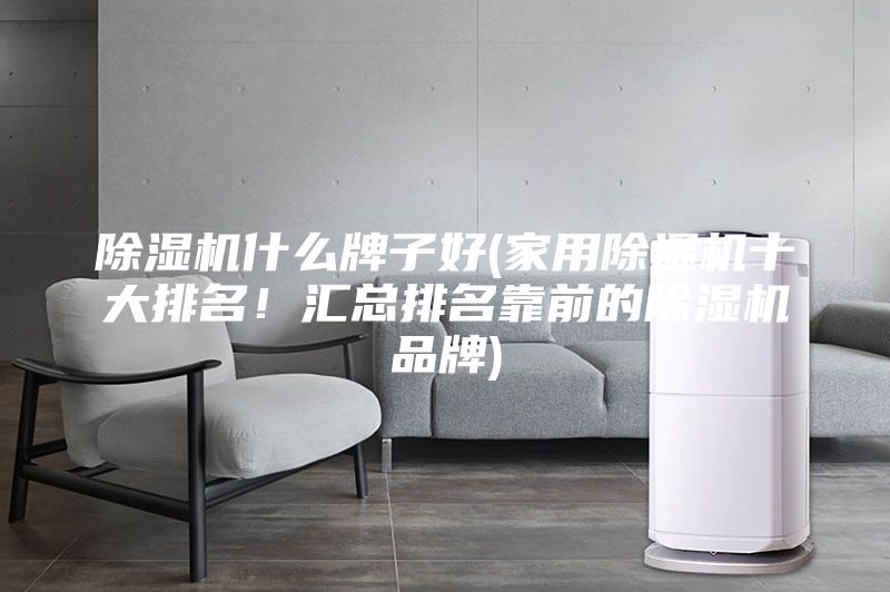 除濕機(jī)什么牌子好(家用除濕機(jī)十大排名！匯總排名靠前的除濕機(jī)品牌)