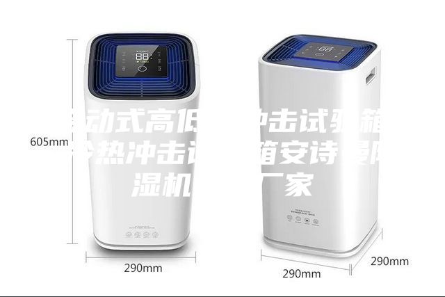 移動式高低溫沖擊試驗箱 冷熱沖擊試驗箱安詩曼除濕機生產(chǎn)廠家