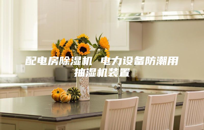 配電房除濕機 電力設(shè)備防潮用抽濕機裝置