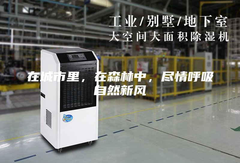 在城市里，在森林中，盡情呼吸自然新風(fēng)