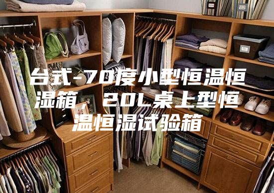 臺式-70度小型恒溫恒濕箱，20L桌上型恒溫恒濕試驗箱