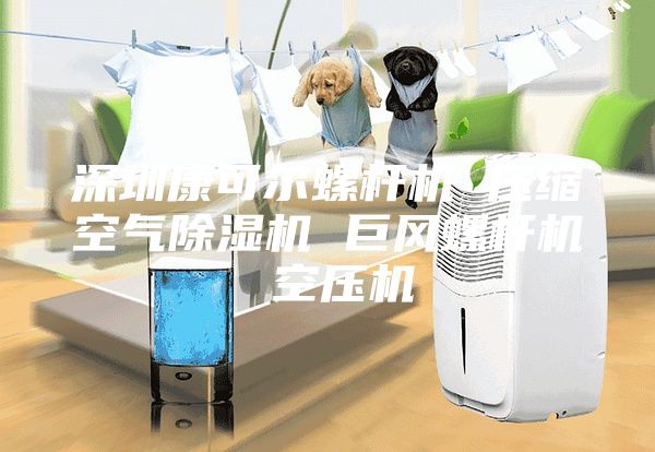 深圳康可爾螺桿機(jī) 壓縮空氣除濕機(jī) 巨風(fēng)螺桿機(jī) 空壓機(jī)