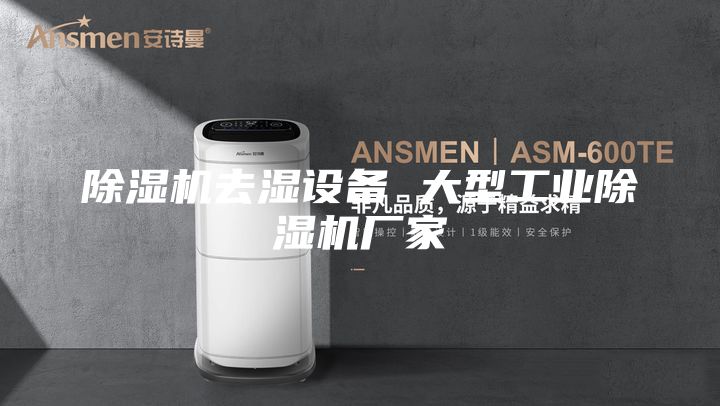 除濕機(jī)去濕設(shè)備 大型工業(yè)除濕機(jī)廠家